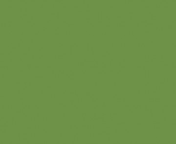 Kerrock – 620 grassy green